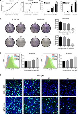 Blockage of Autophagic Flux and Induction of Mitochondria Fragmentation by Paroxetine Hydrochloride in Lung Cancer Cells Promotes Apoptosis via the ROS-MAPK Pathway